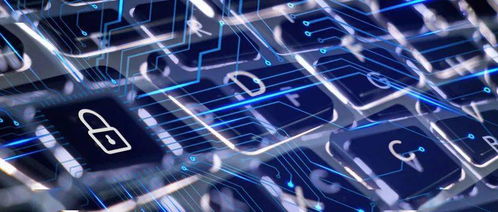 赴日留學(xué)信息技術(shù)領(lǐng)域擇專業(yè)三原則 結(jié)合前沿、契合自身、著眼未來(lái)