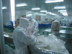 守護銀發“食”光，賦能品質晚年 沁玖洲食品廠參觀與老年養護服務的融合探索
